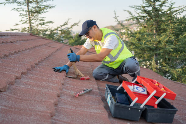Roof Gutter Cleaning in Paterson, NJ